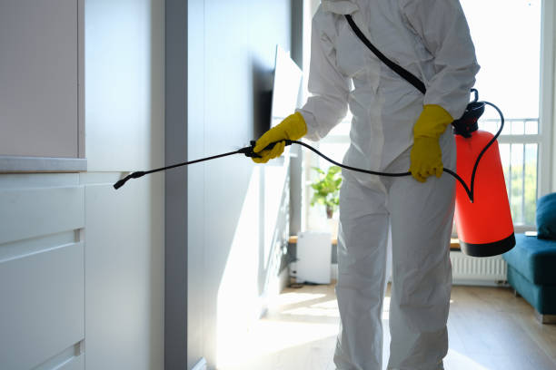 Water Damage Restoration in Pink, OK